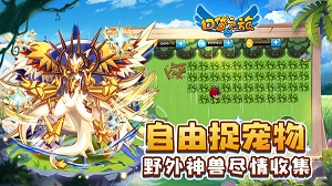 口袋之旅