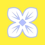 丁香花视频在线观看版