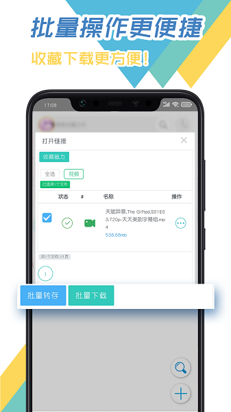 飞鸟加速器