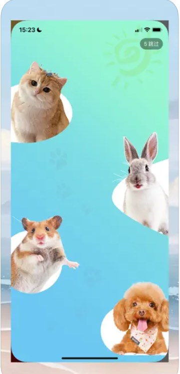 宠物趣事