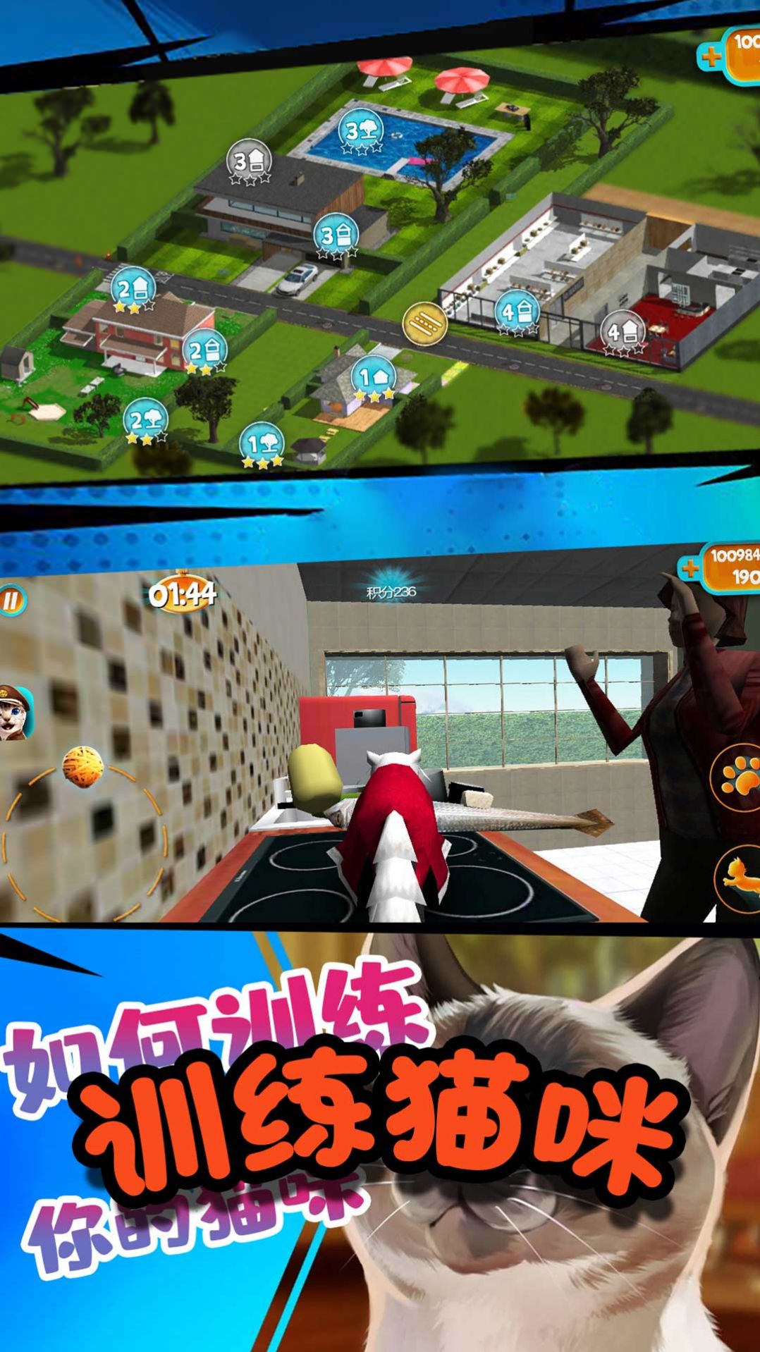 极速流浪猫游戏