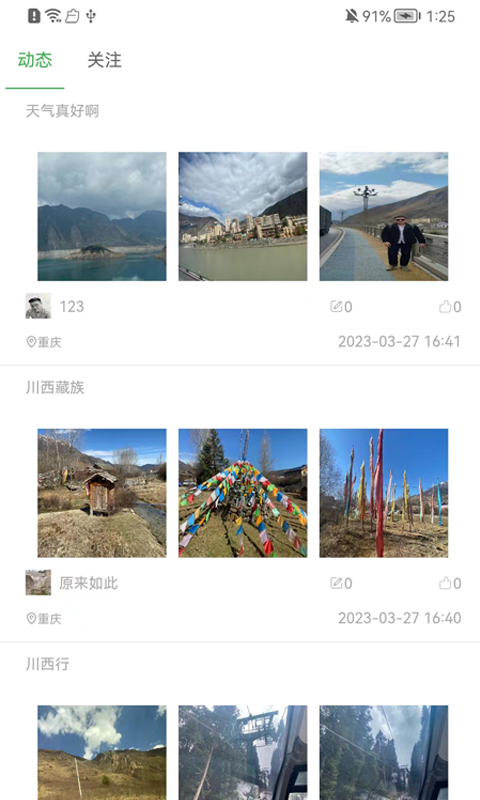 南乔木