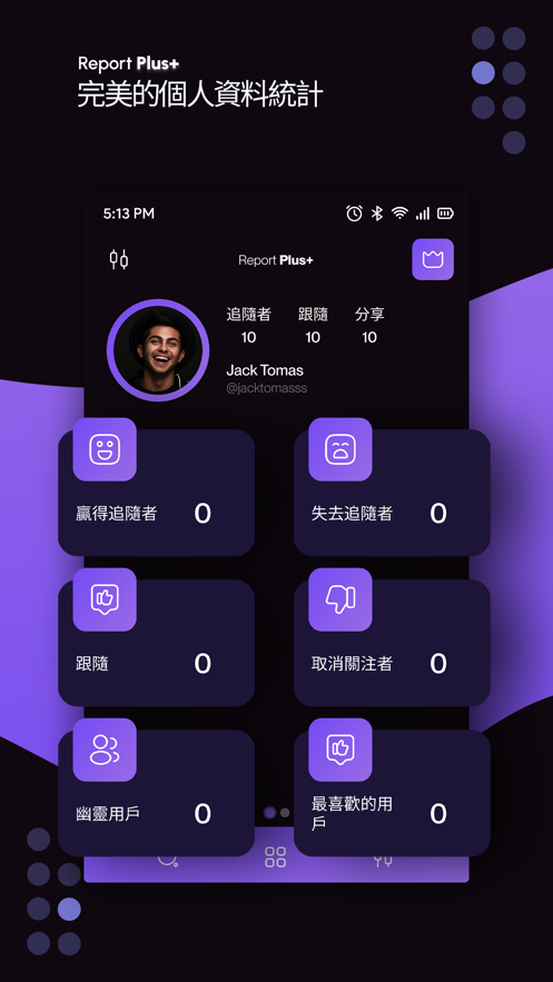 ReportPlus软件
