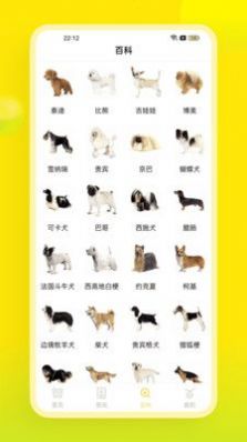 易超科