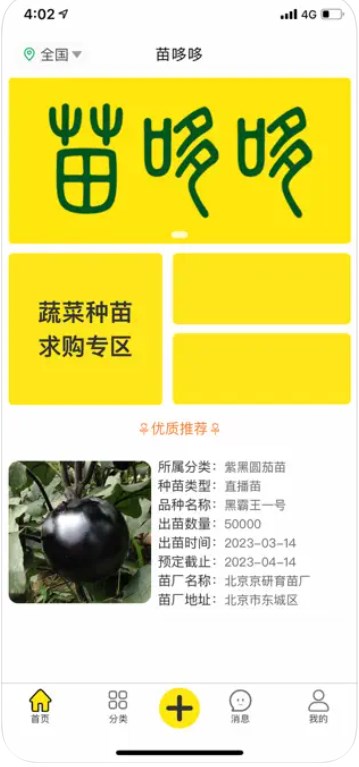 苗哆哆