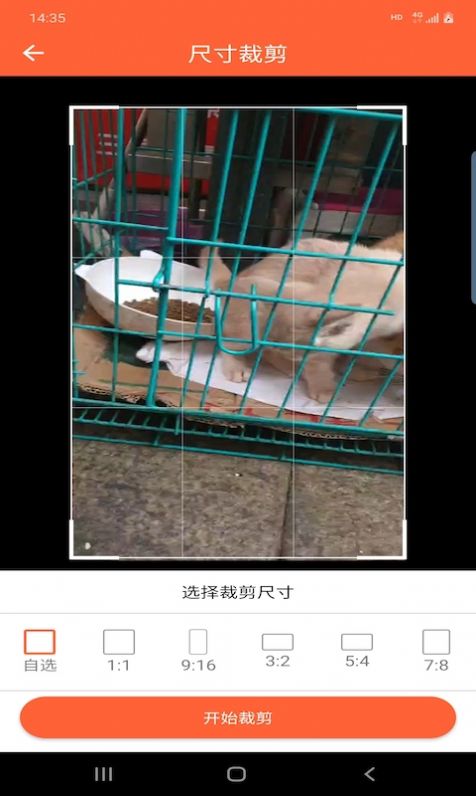 鸿翔水印app