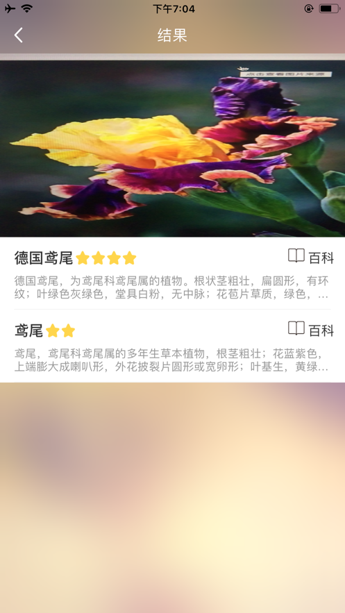 问花app