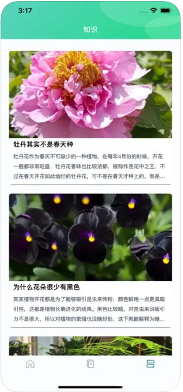 爱上了养植物
