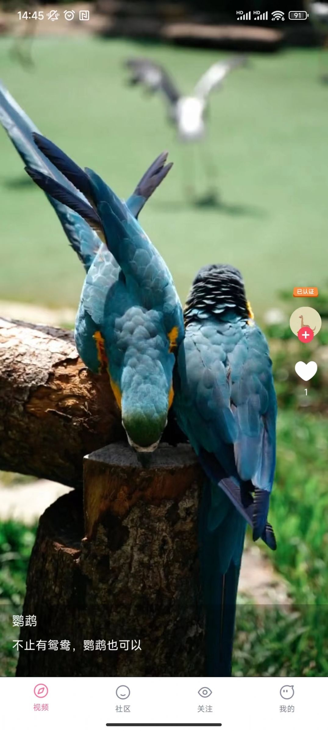 欢喜短视频app