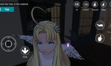 我的虚拟女友忍者游戏
