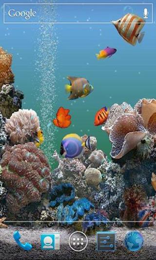 海底动态壁纸手机壁纸(Ocean