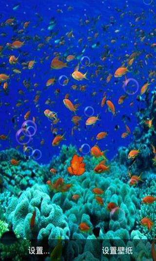 海底动态壁纸手机壁纸(Ocean