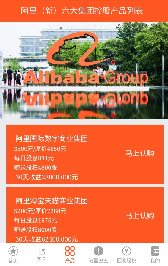 ALI控股