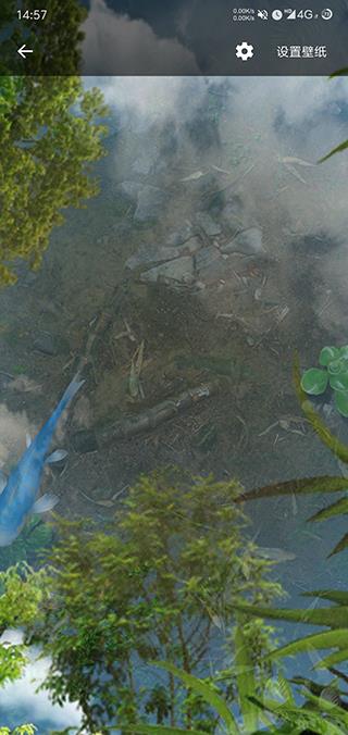 鱼池动态壁纸汉化破解版