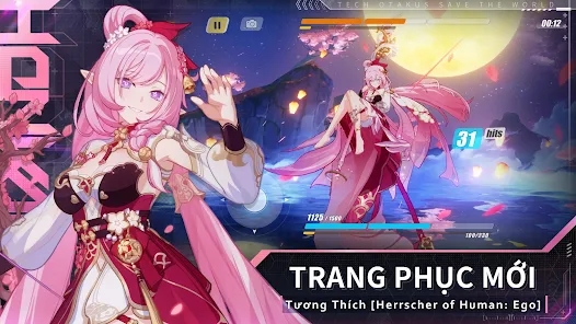 Honkai