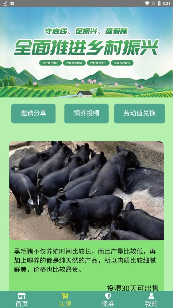 新农经济建设