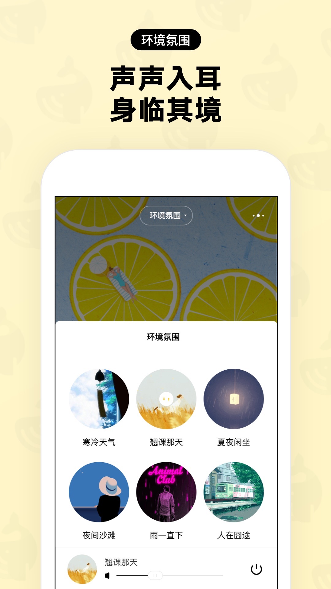 赫兹交友软件