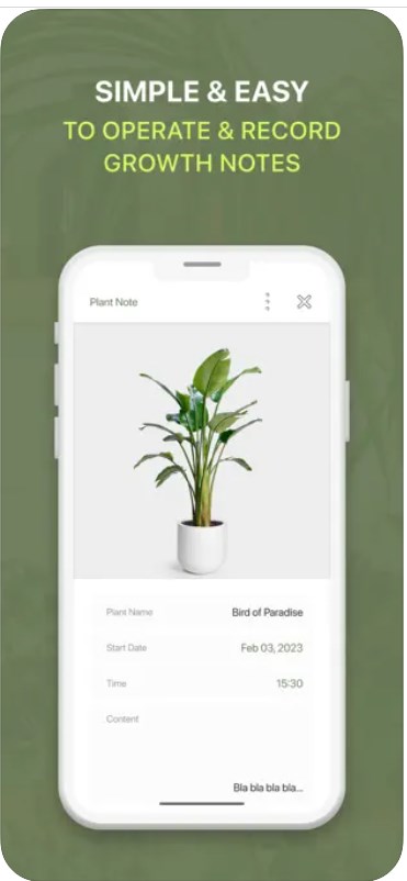 Plants