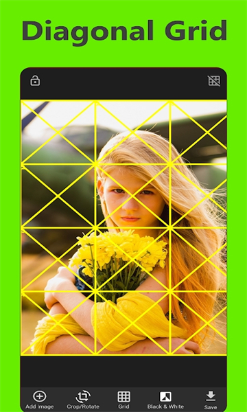 Grid