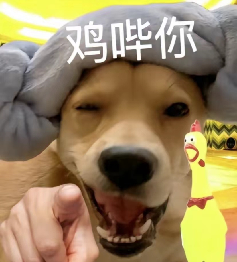 鸡哔你表情包动图