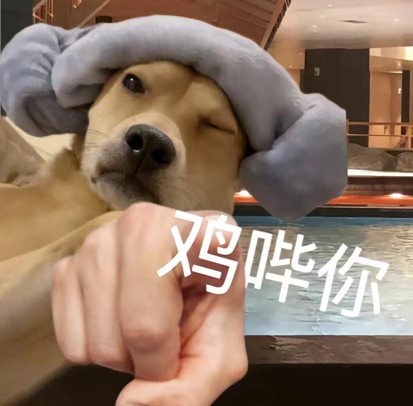 鸡哔你表情包动图