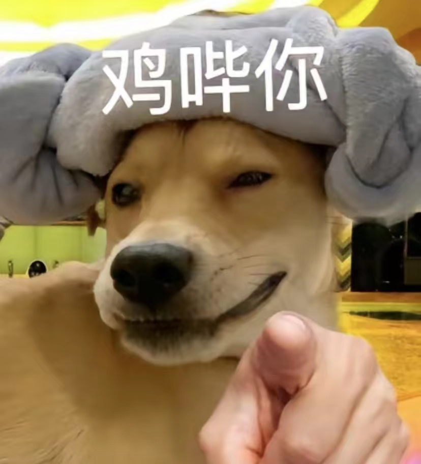 鸡哔你表情包动图