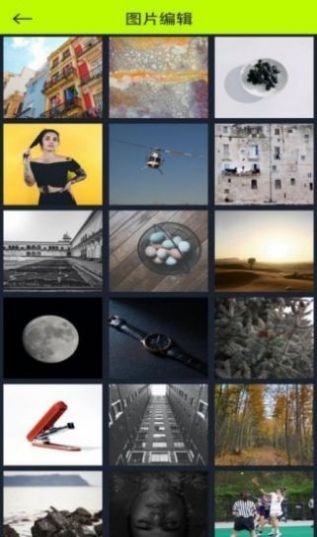 白羊视频官方下载app