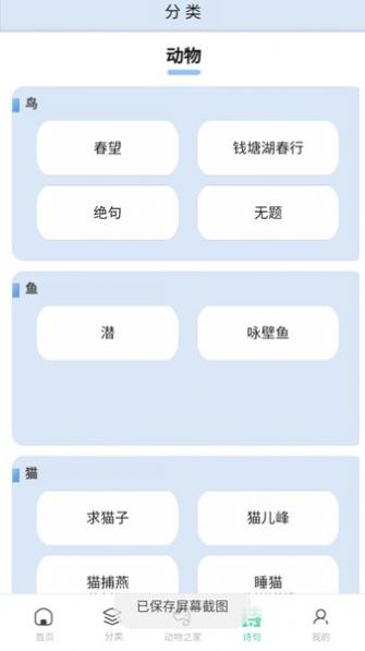 动物物语