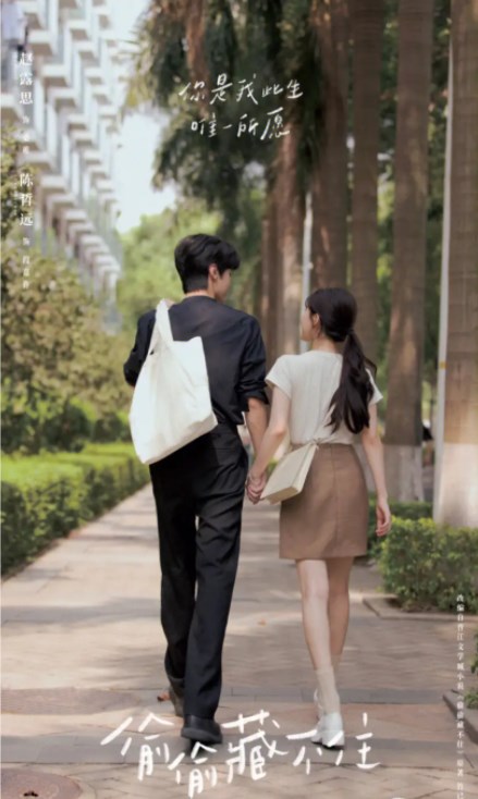 偷偷藏不住电视剧壁纸高清无水印版