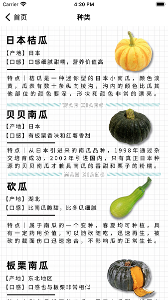 熟南瓜