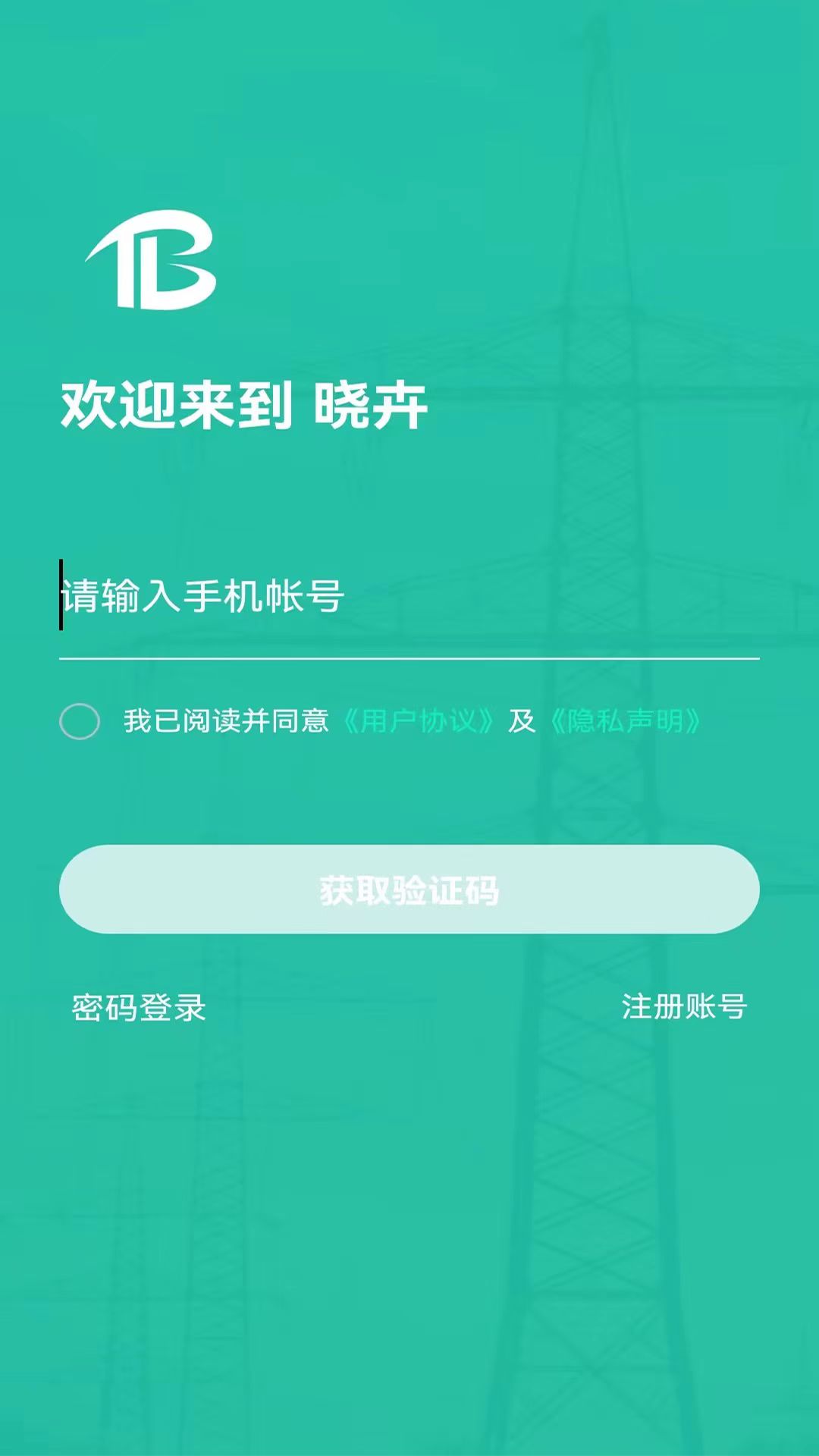 晓卉