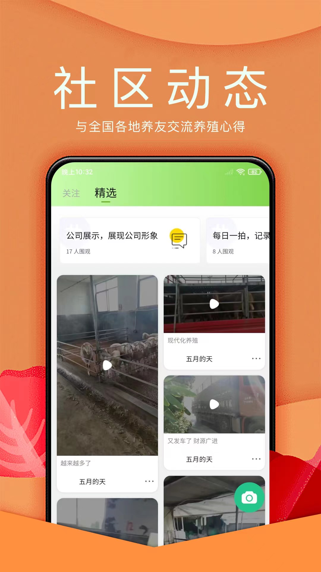 羊小宝