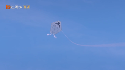 熊猫影院TV