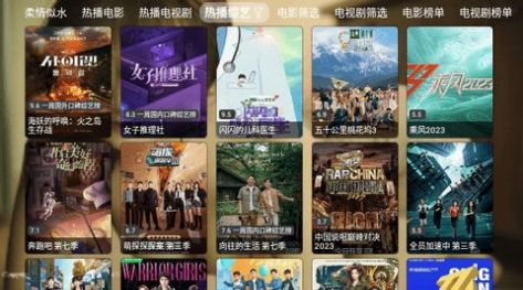 柔情似水TV
