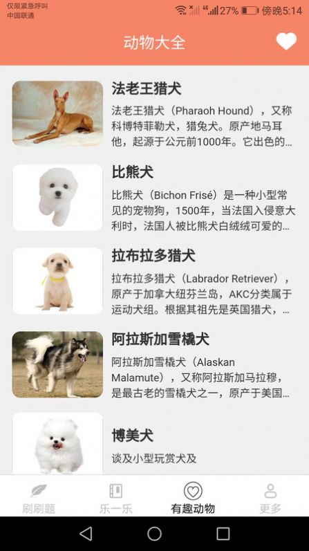 趣味刷刷乐