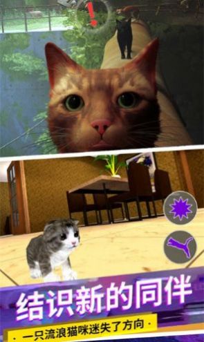 猫咪城市模拟器下载安装