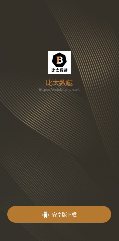 比太数藏