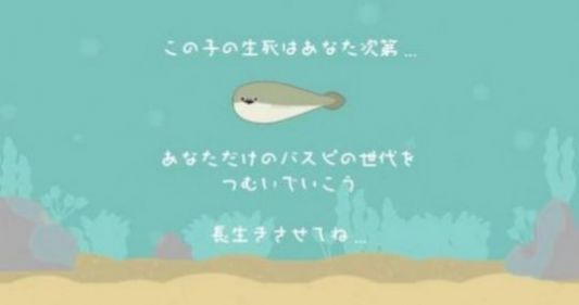 萨卡班鱼游戏