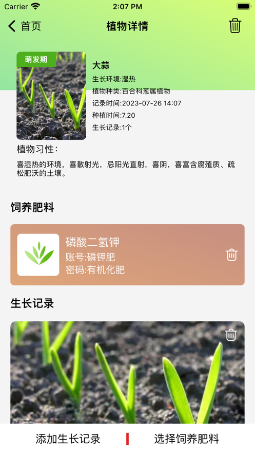 玉玲珑