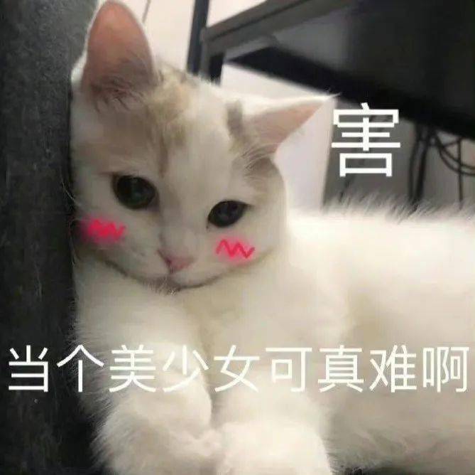 尊嘟假嘟表情包猴子