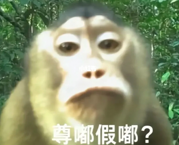 尊嘟假嘟表情包猴子
