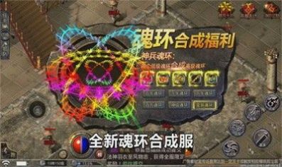 武义之旅官方版