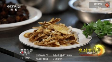 cybertv电视版