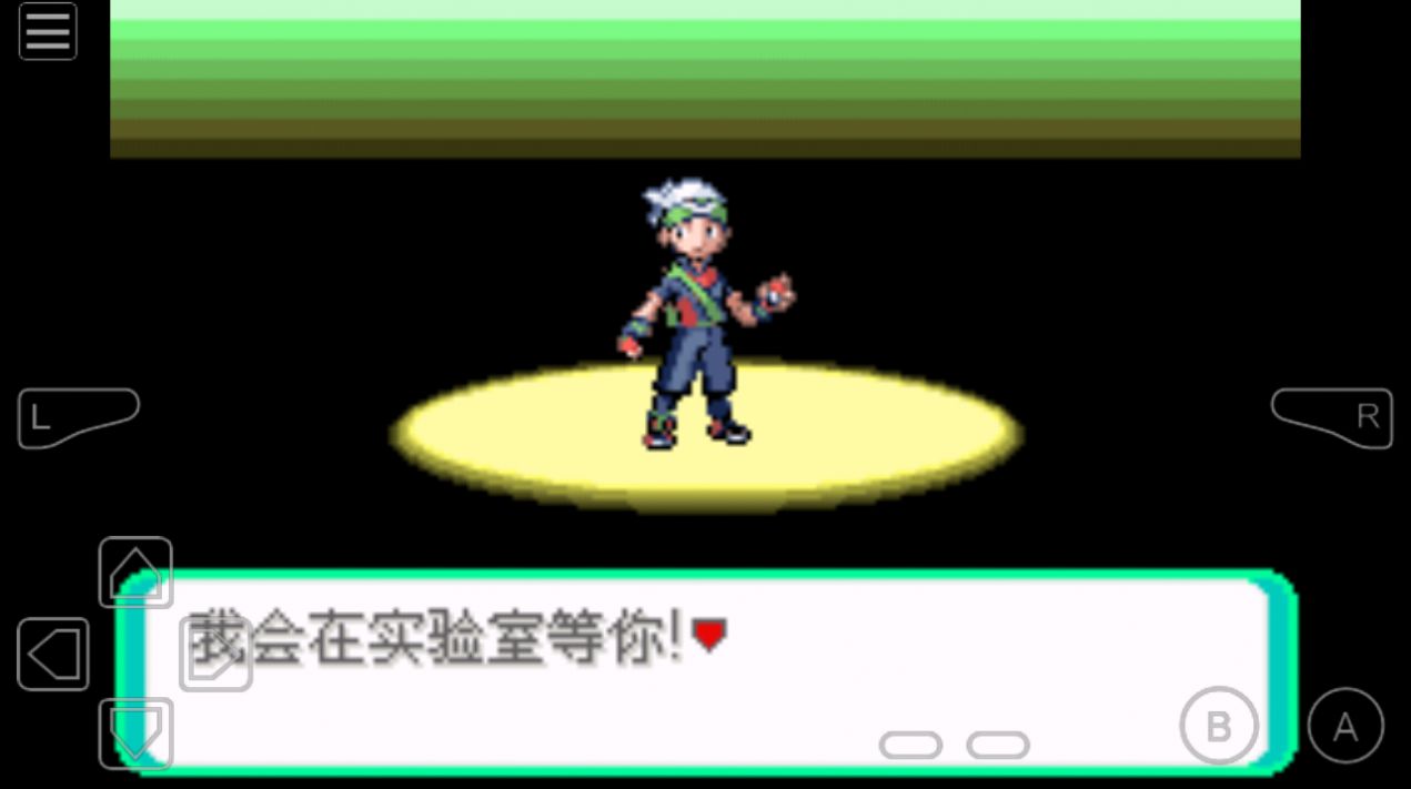 口袋妖怪rogue内置菜单
