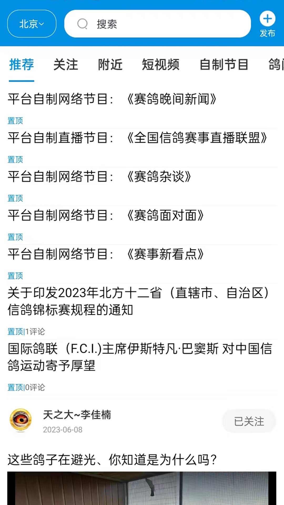 鸽网通