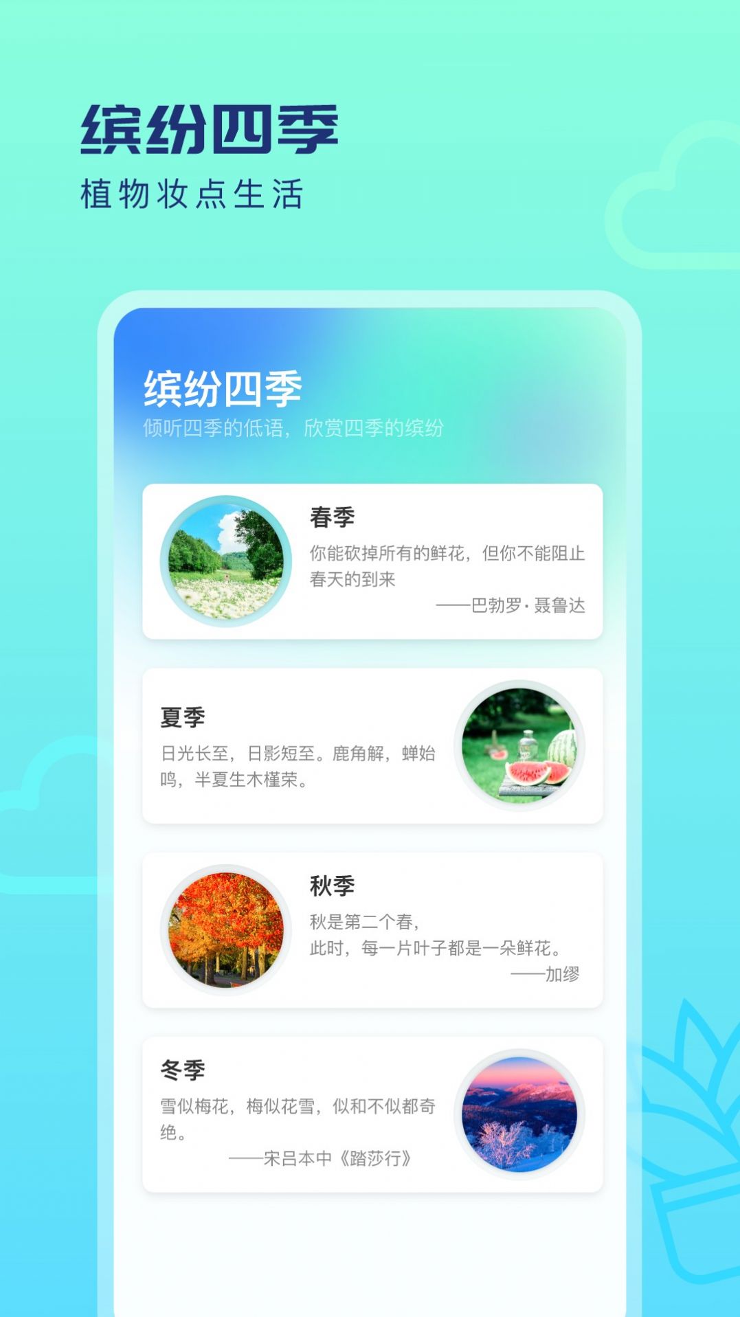 缤纷四季