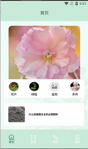 开心花园踏青