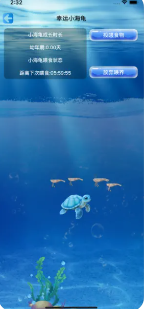 奇妙小海龟