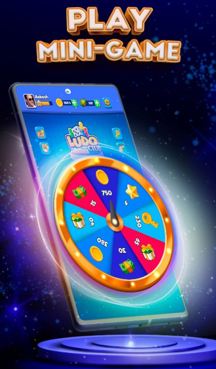 Ludo