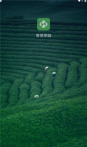 智慧茶园